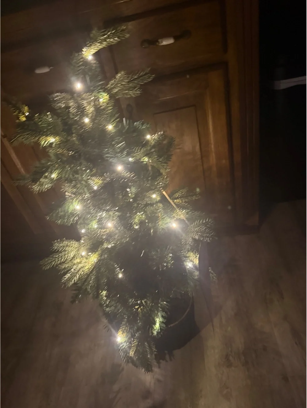 Potted balsam fir lit tree